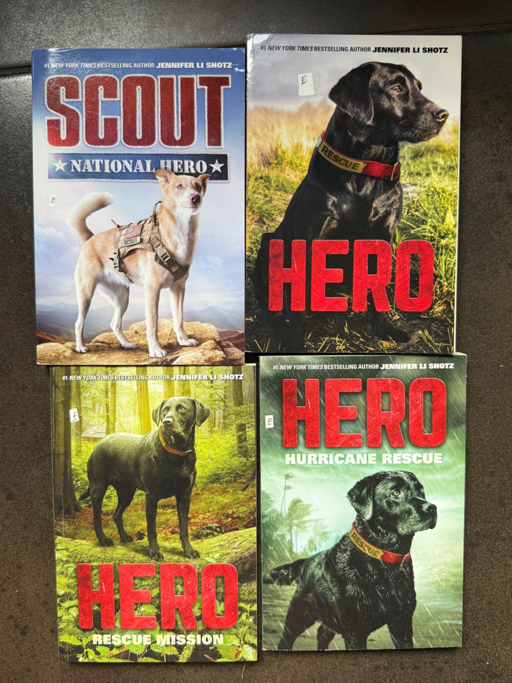 Hero Scout Dog Book Series Set 4 Jennifer Shotz Paperback Homeschool Young Adult